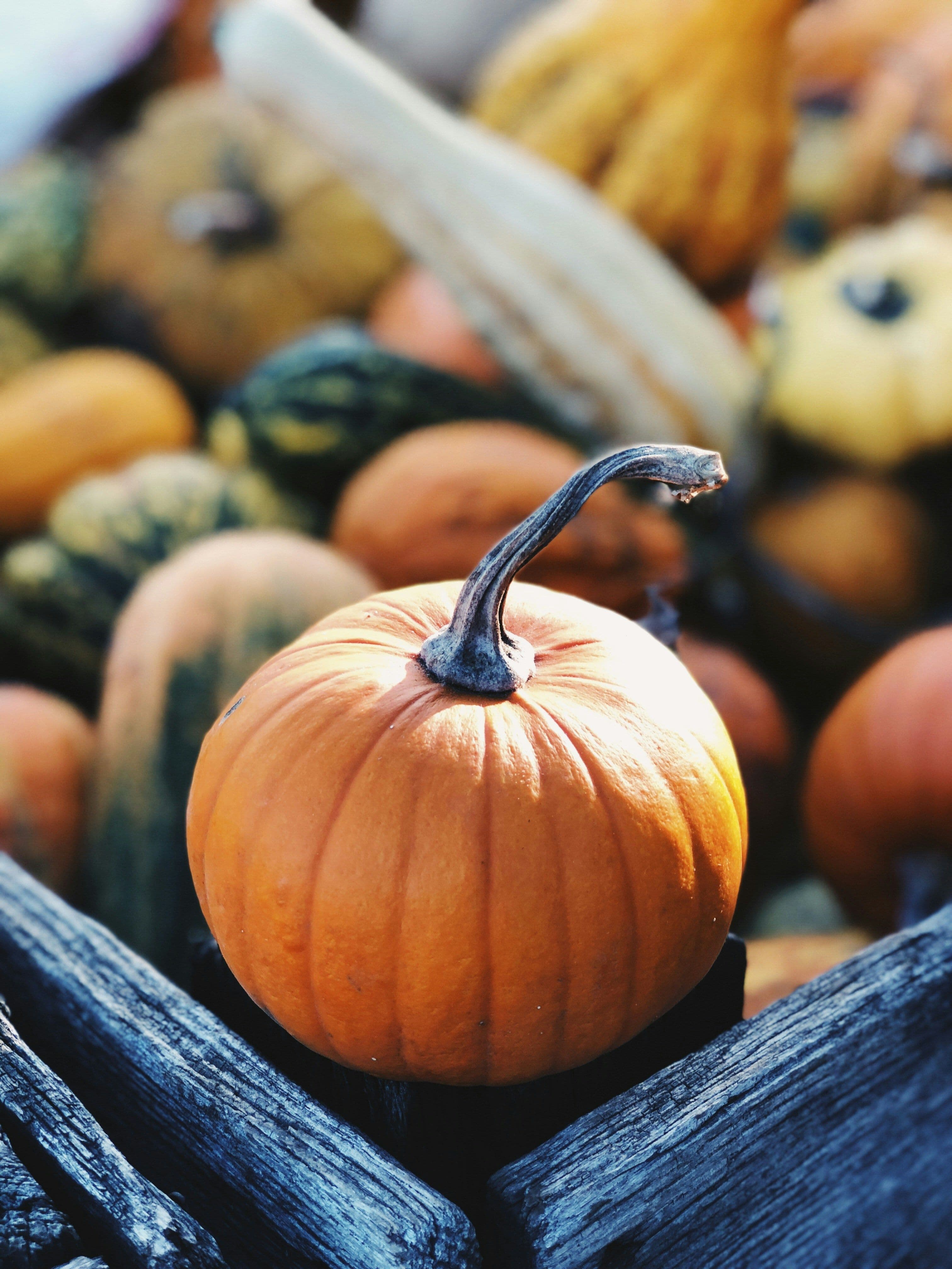 October Is Estate Planning Awareness Month